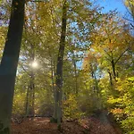 Corti-pierros Nyaraló