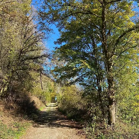 Casa de Férias Corti-pierros *